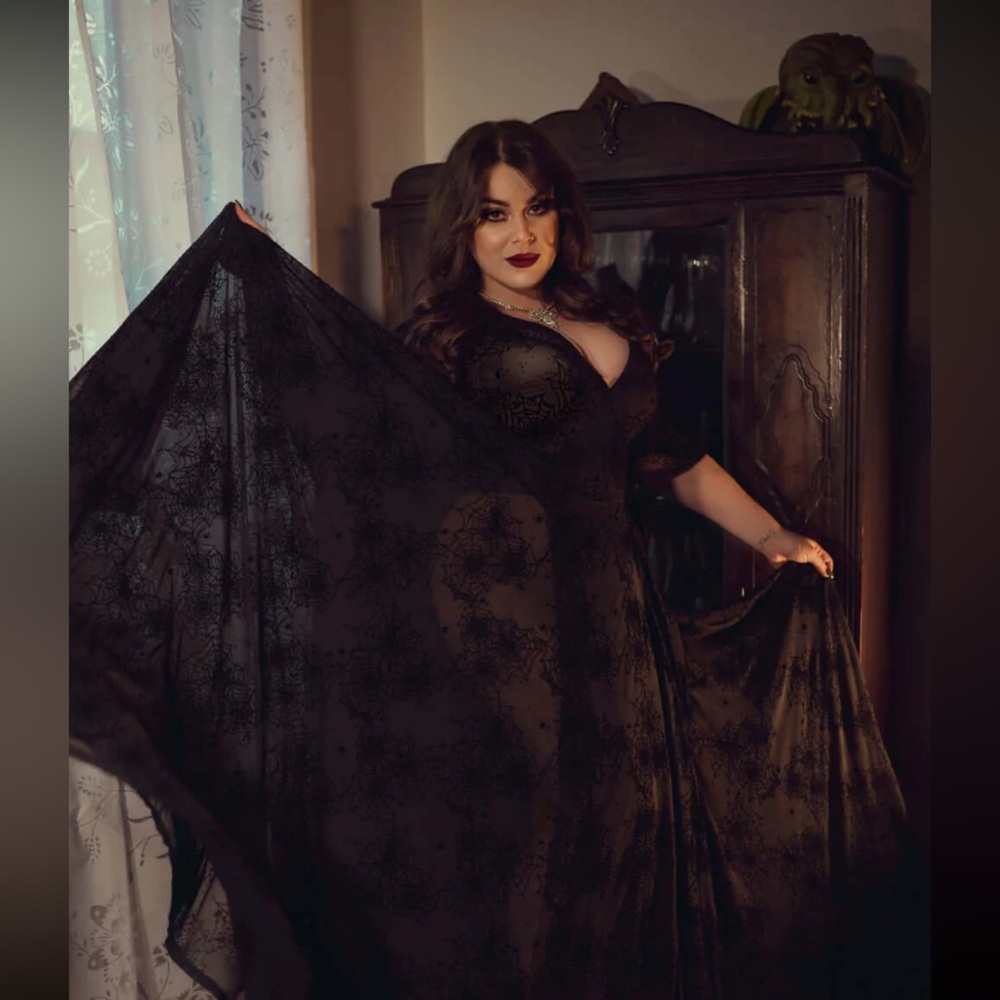 Wax Poetic Lydia wrap dress in flocked spiderweb 3x Gothic Sheer Empire dress